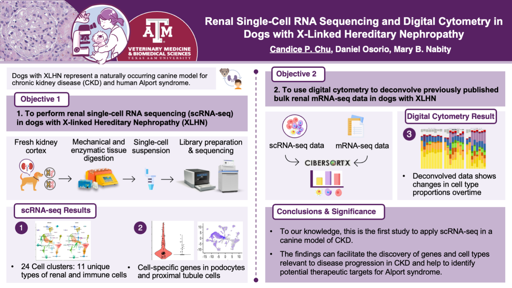 2025XLHN_scRNA.jpg
